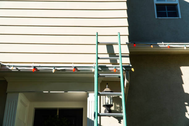 Best Insulated Siding Installation  in Lakewood, CA