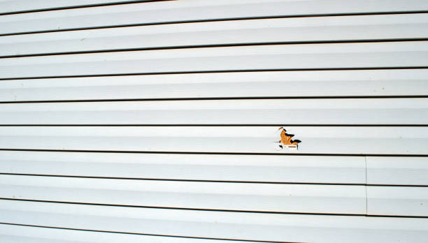Best James Hardie Siding  in Lakewood, CA
