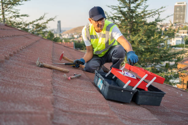 Affordable siding repair and maintenance services in Lakewood, CA