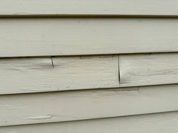 Best Composite Siding  in Lakewood, CA